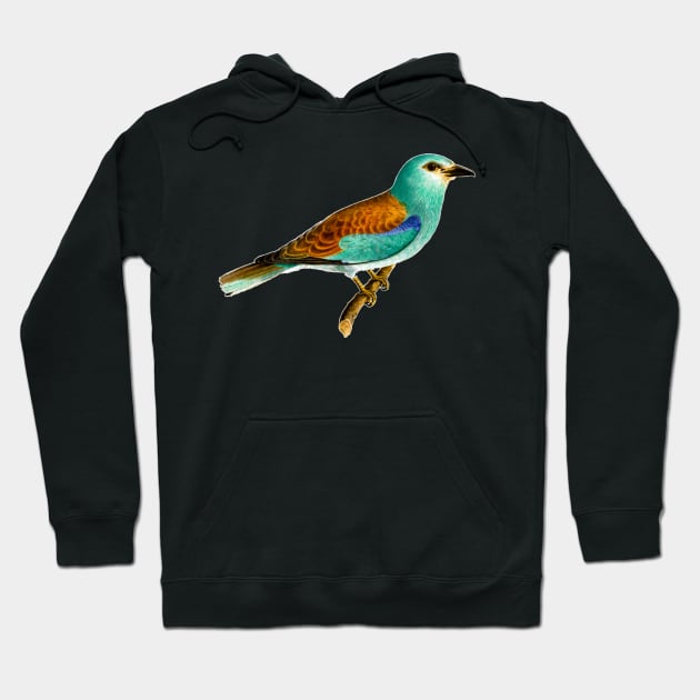 Blue bird illustration in vintage colorful design Hoodie by Marccelus